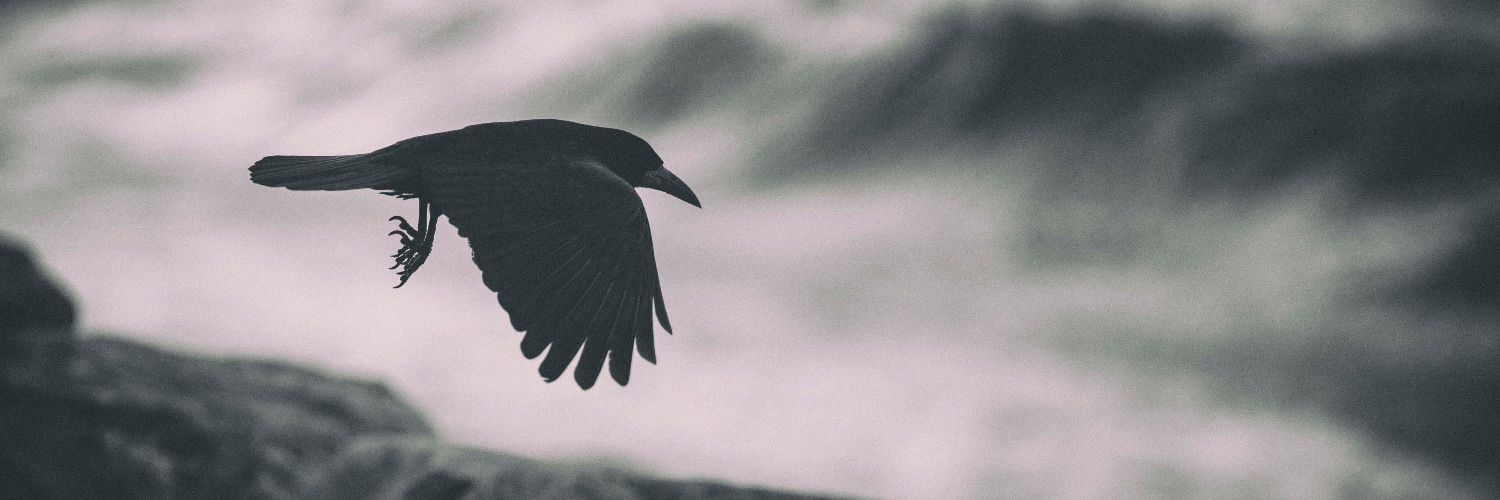 Matthew Gammon banner