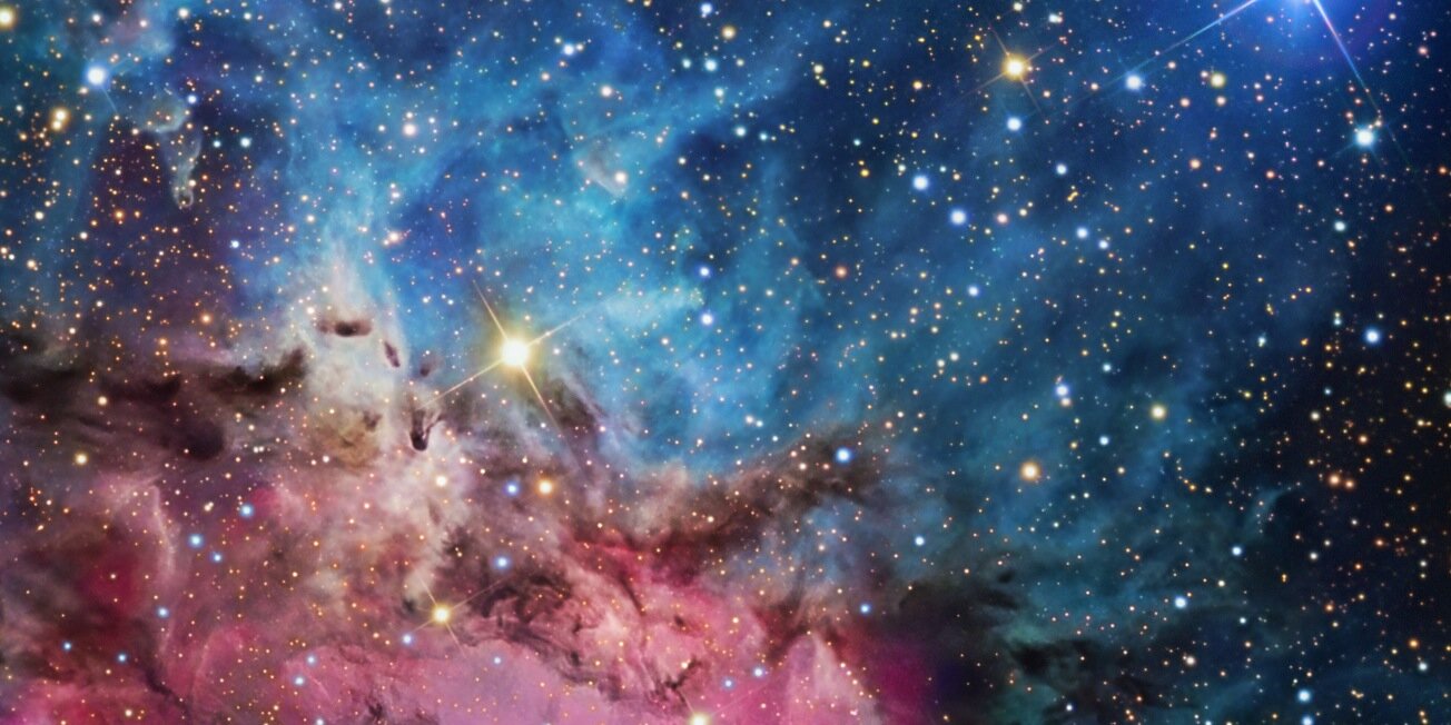 Day (she/they) 💛🤍💜 banner