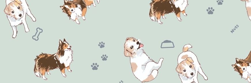 nutsunkooo's profile banner image