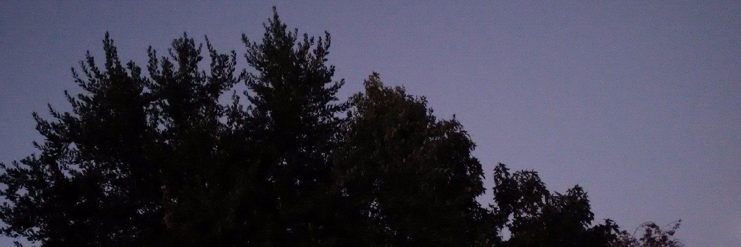ElYurado's profile banner image