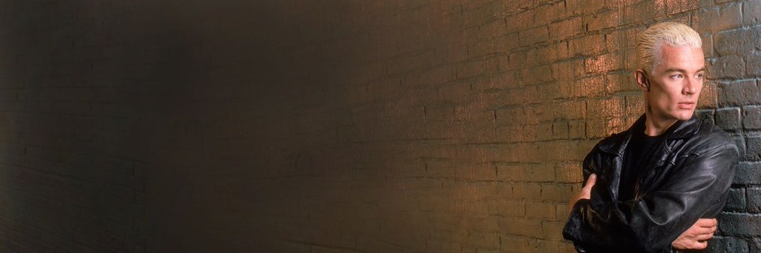 SoddingFangs's profile banner image