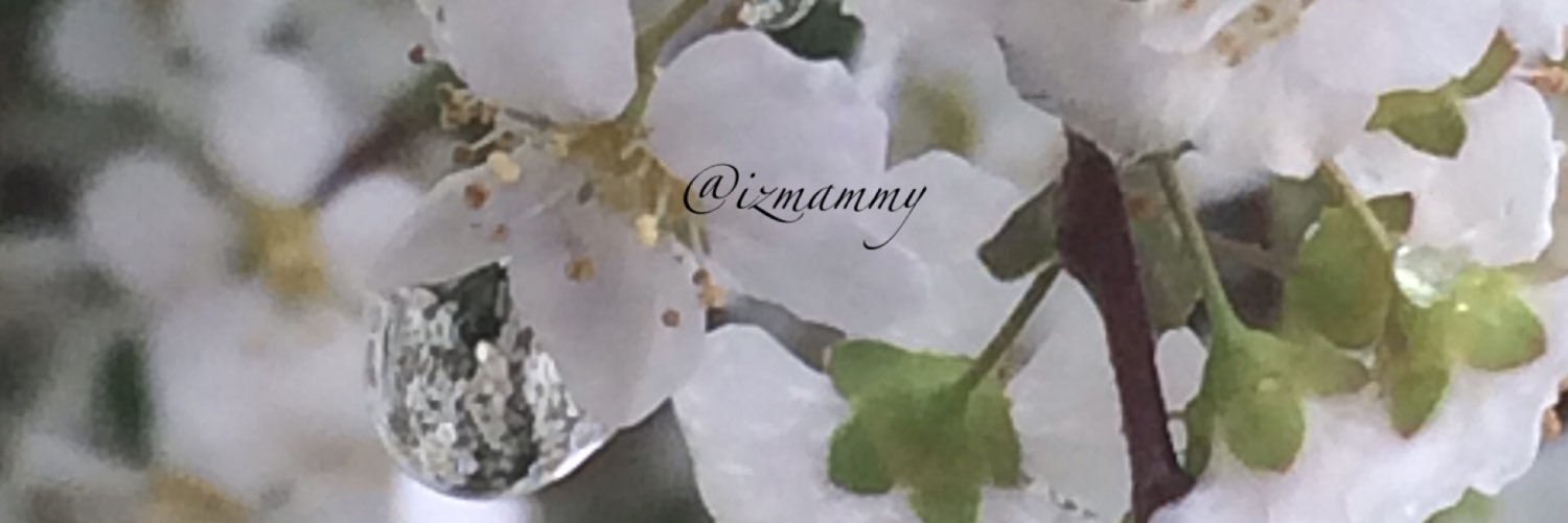 飴澄(いずみ)❀*ﾟ banner