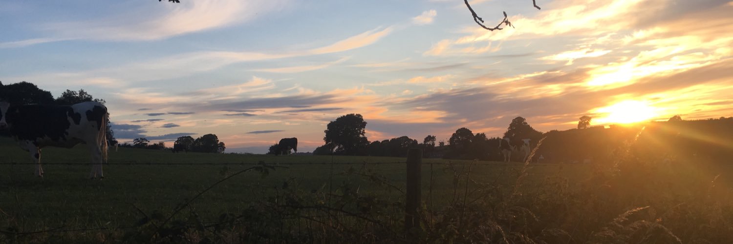 HarrietLucas1's profile banner image