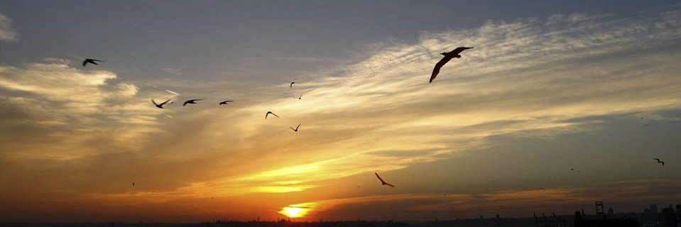 peridemirbas's profile banner image