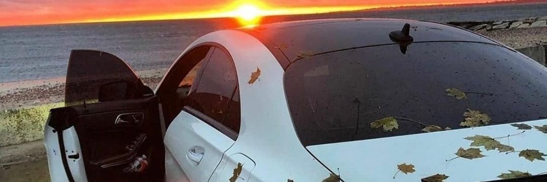 YnSJr_'s profile banner image