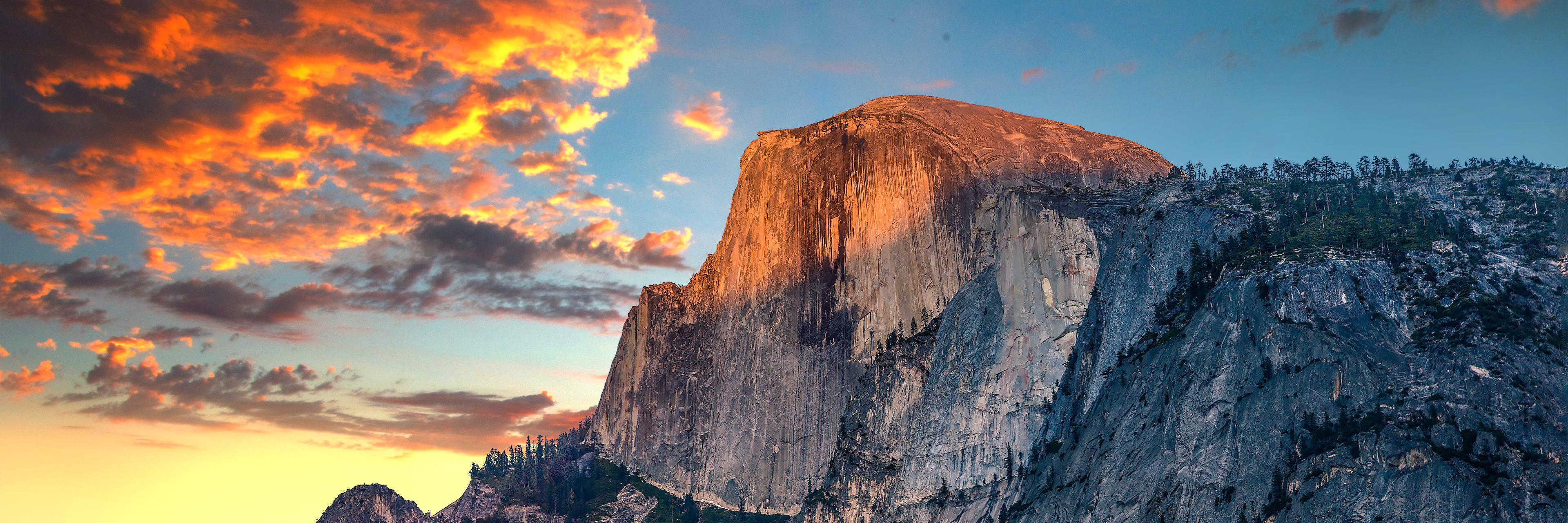 llcheesell / 緒方達郎 banner