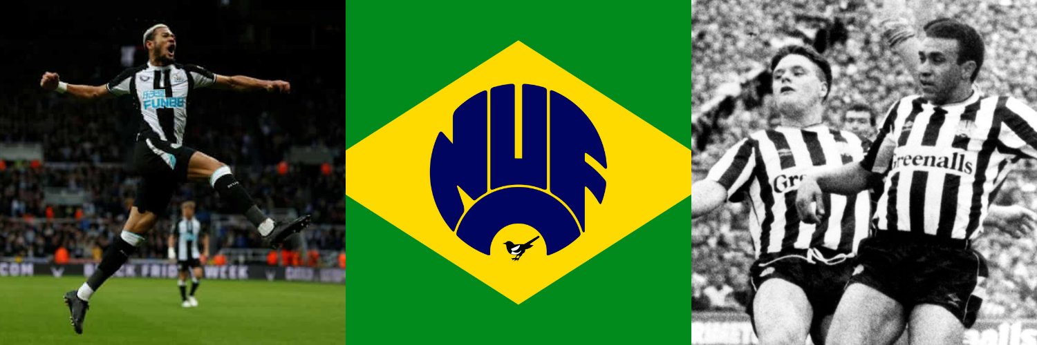 BrazilMagpies's profile banner image