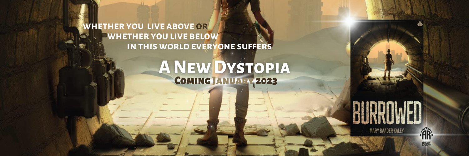 Mary Baader Kaley banner