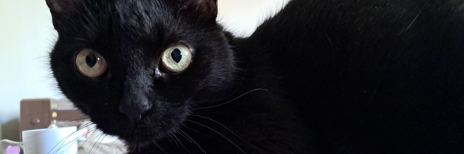 ajowisa's profile banner image