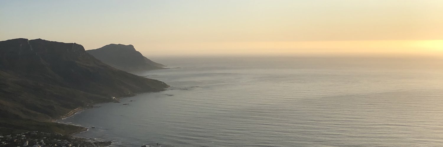 Mark Schellhas banner