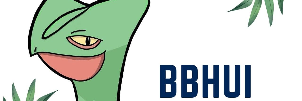 bbhuiTTV's profile banner image