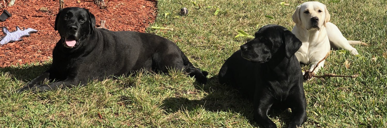 Angela Muñiz Rutherford banner