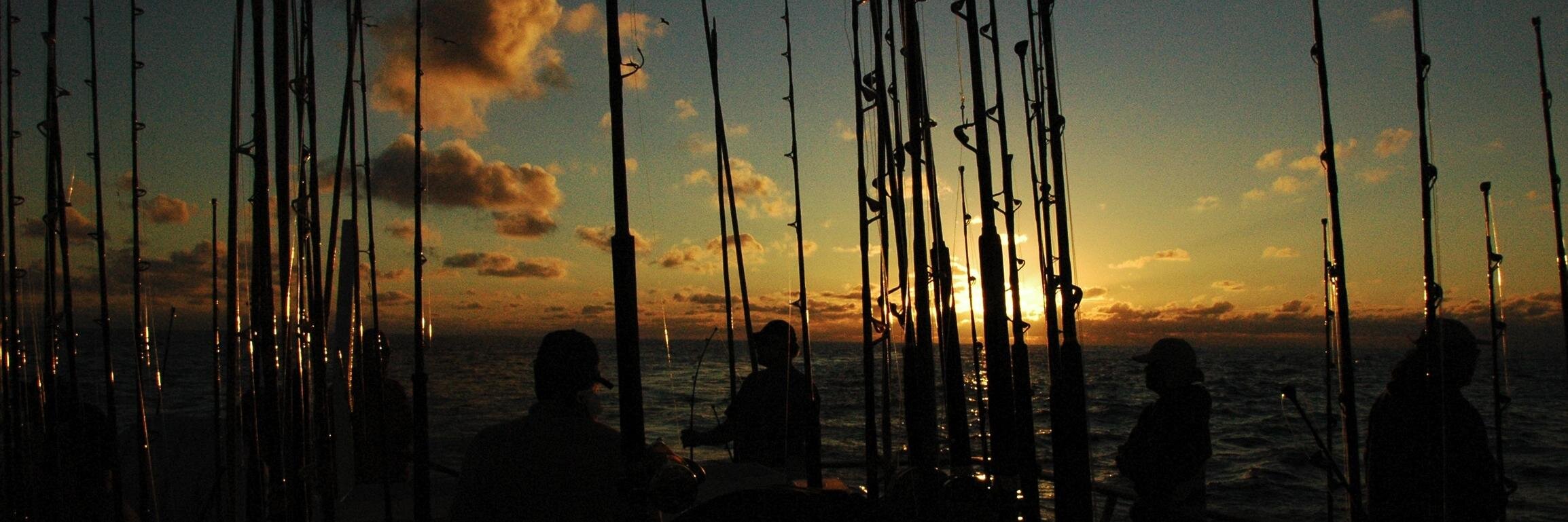 OneCoolTuna's profile banner image