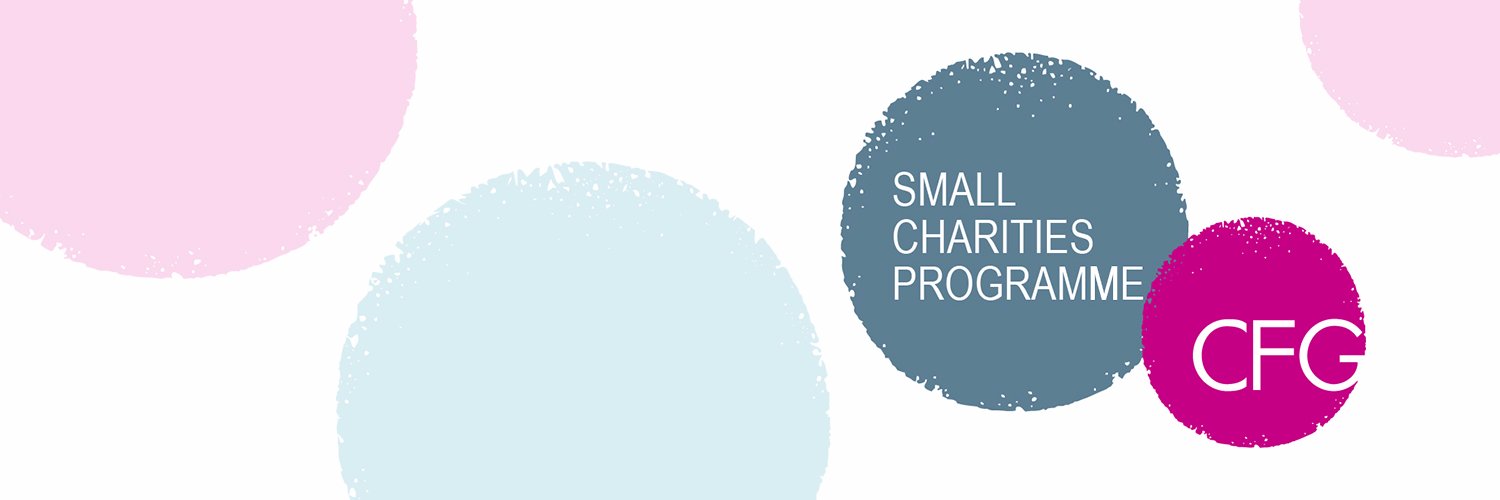 CFG Small Charities banner