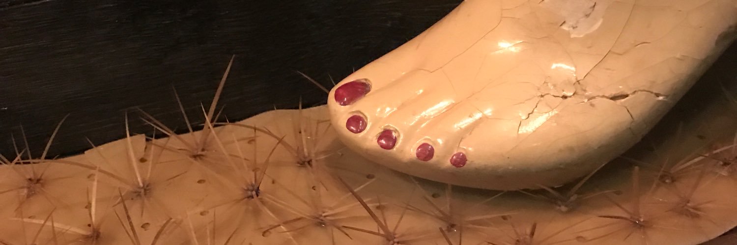 Roberta Petronio banner