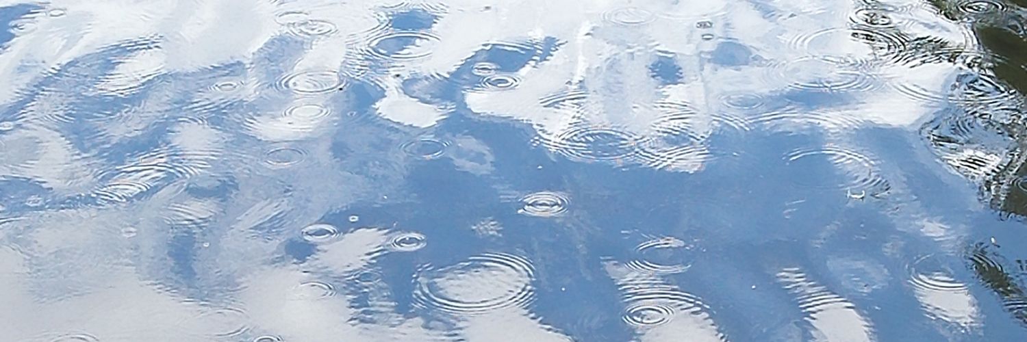 LeiQball's profile banner image