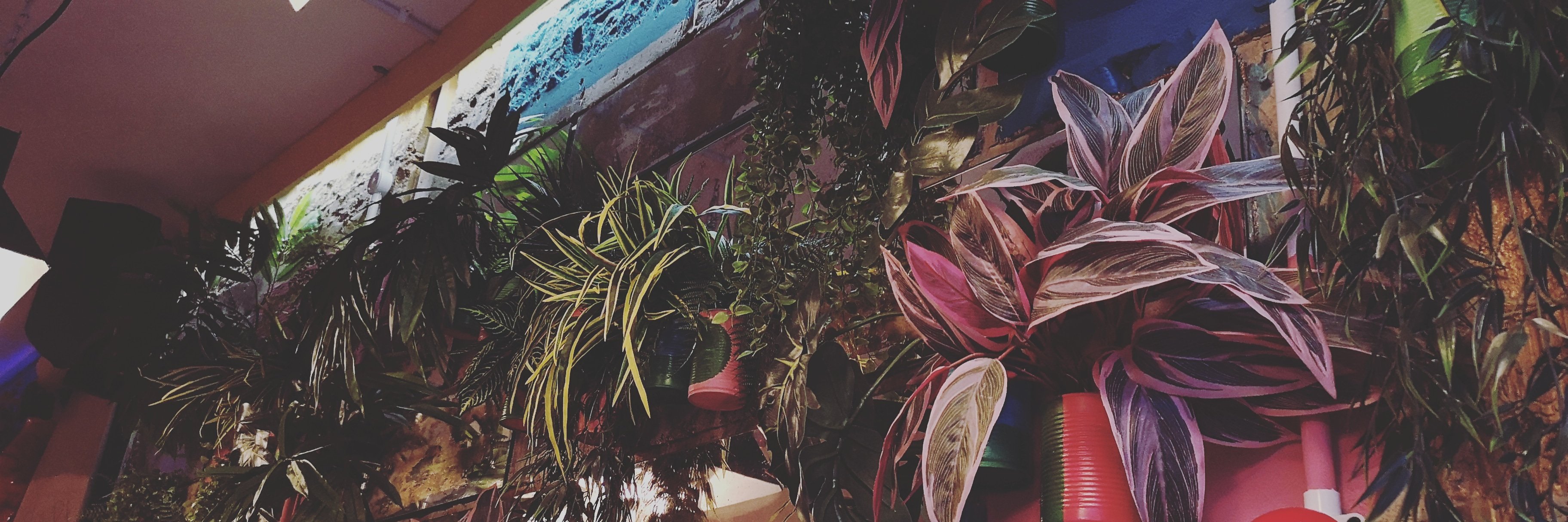 ________Abigail's profile banner image