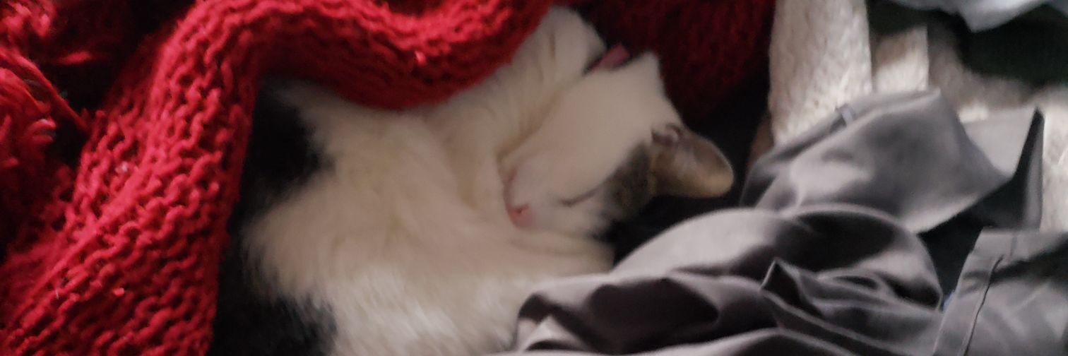 Mr_Generic_Name's profile banner image