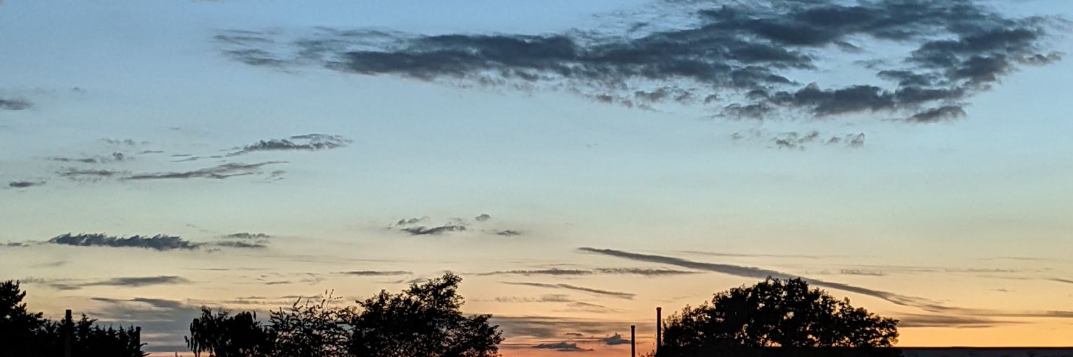 Willrd_'s profile banner image