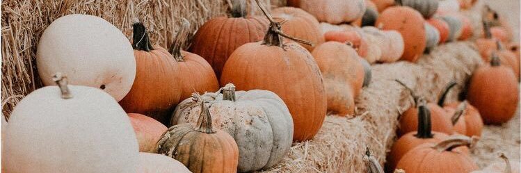TaraNeidigh's profile banner image
