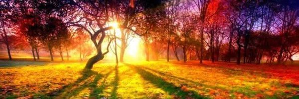 KUAngel Profile Banner