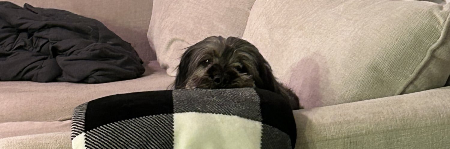invisiblemeli's profile banner image