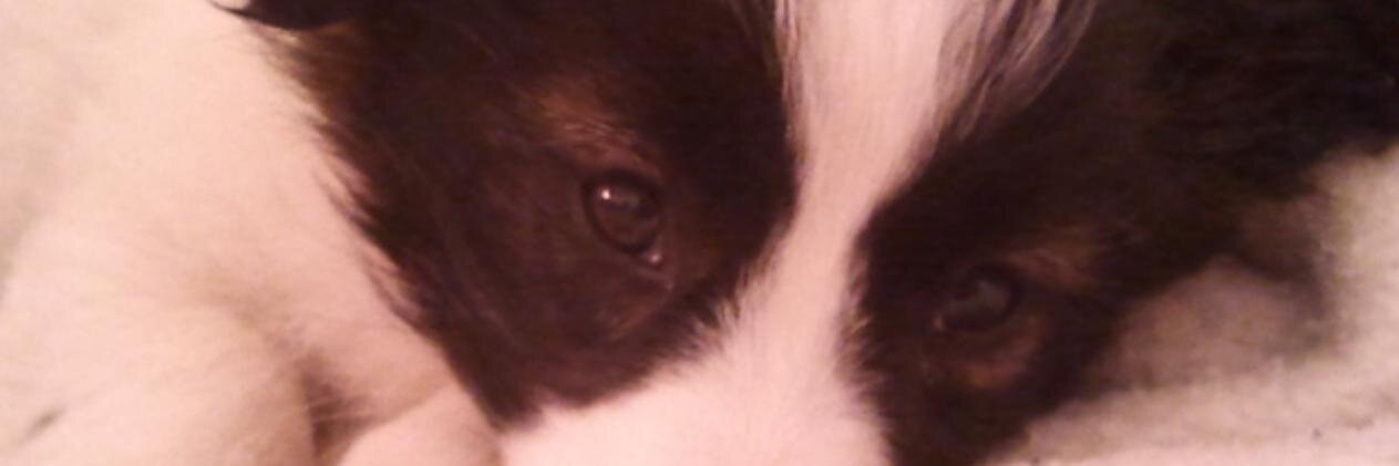 maxseventy's profile banner image