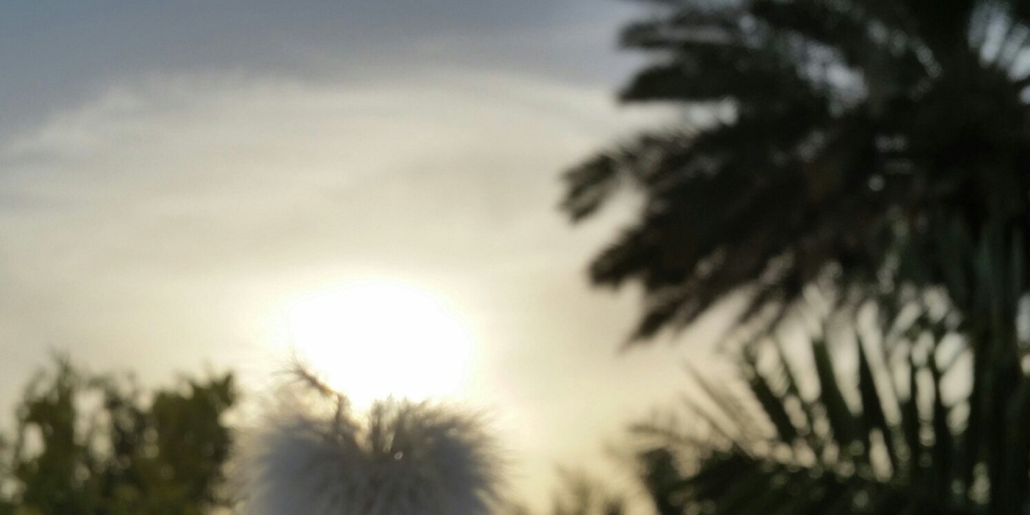 fiory_m's profile banner image