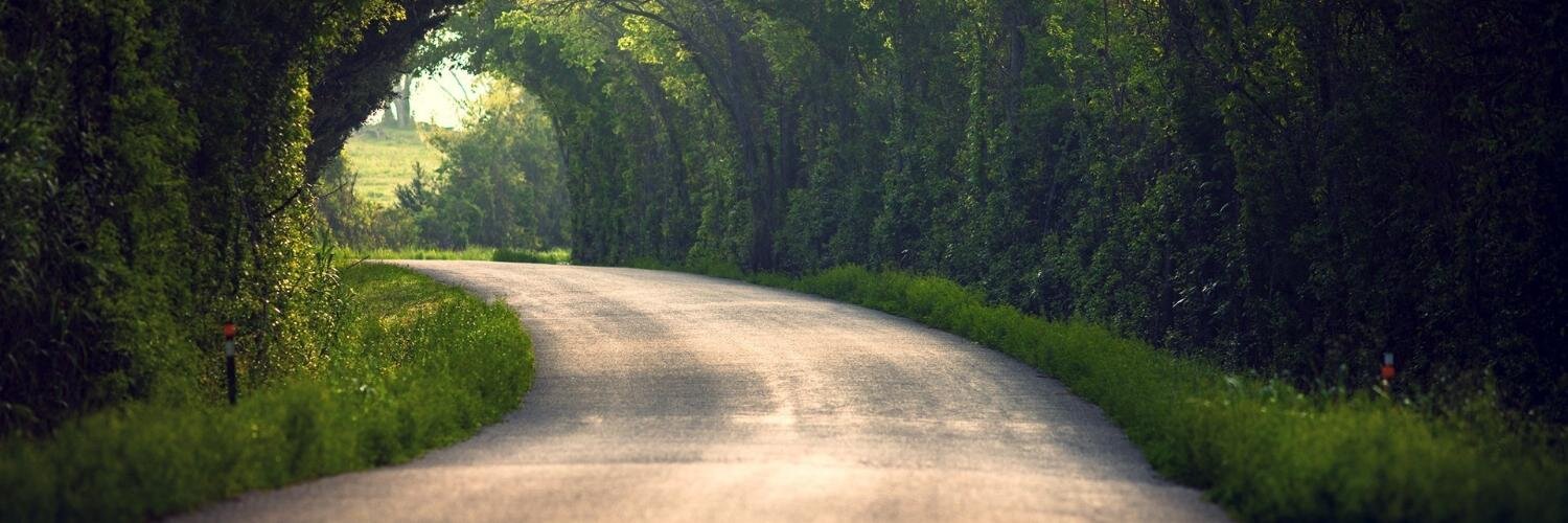 Thomas Júne Park banner