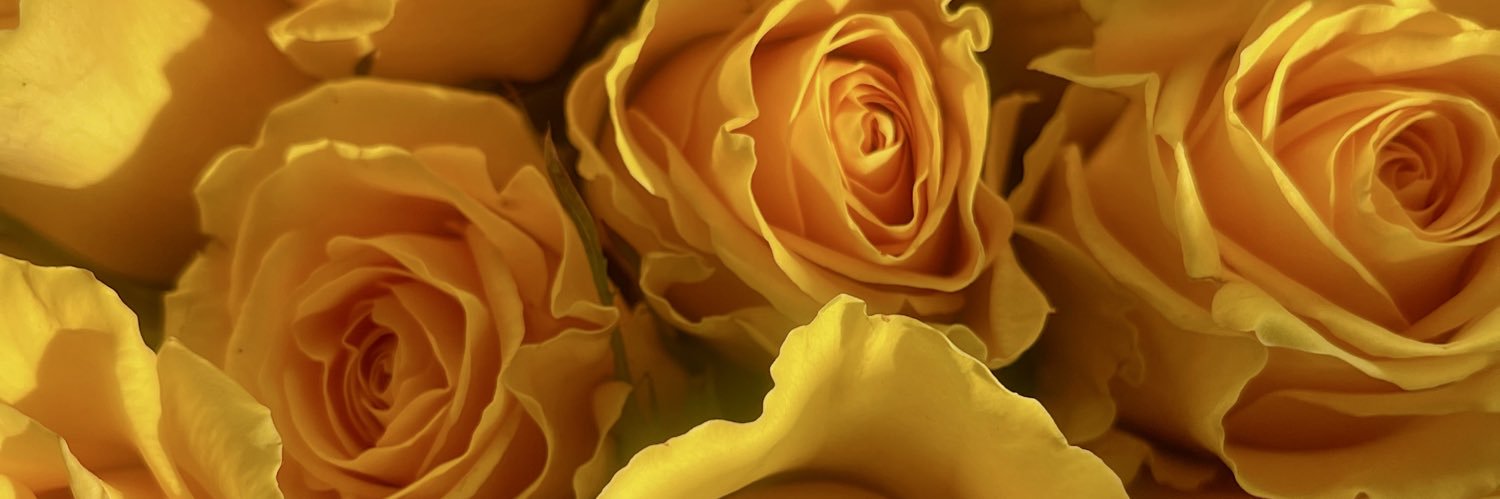 samiragarciaa_'s profile banner image