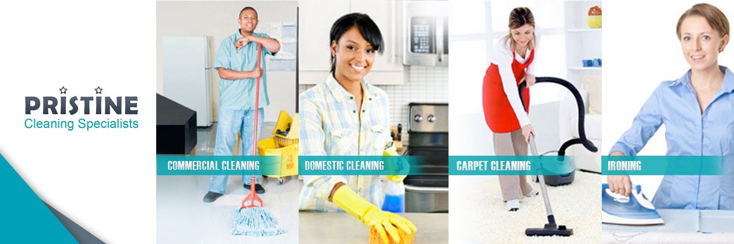 Pristine Domestic (@PristineDomest2) / Posts / X