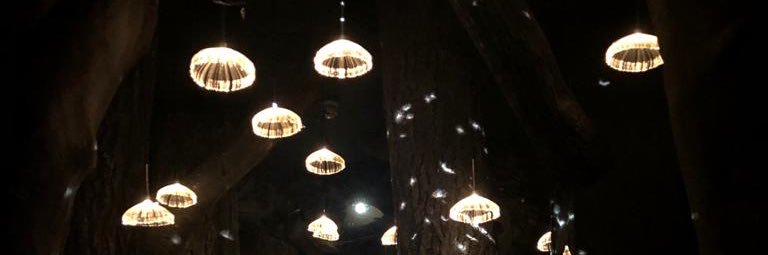 Hester Careless banner