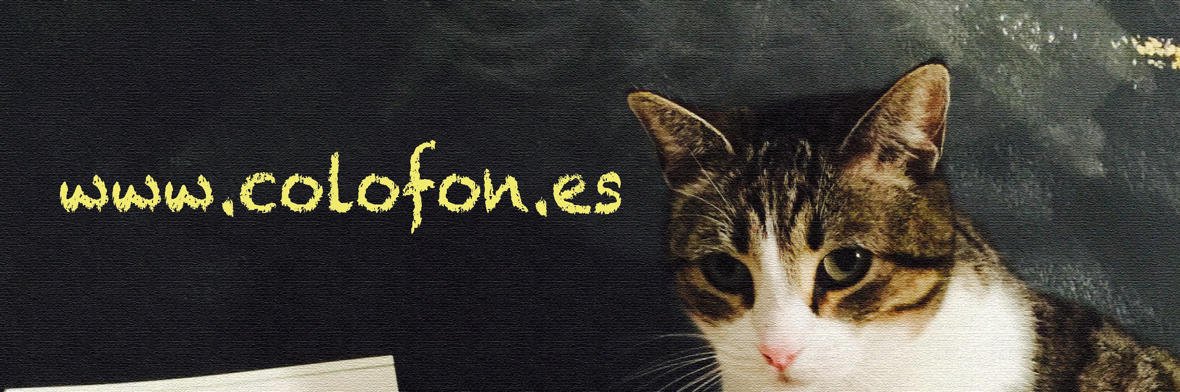 menguerrero's profile banner image