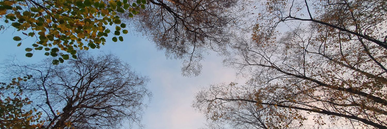 DebsDoesDimples's profile banner image