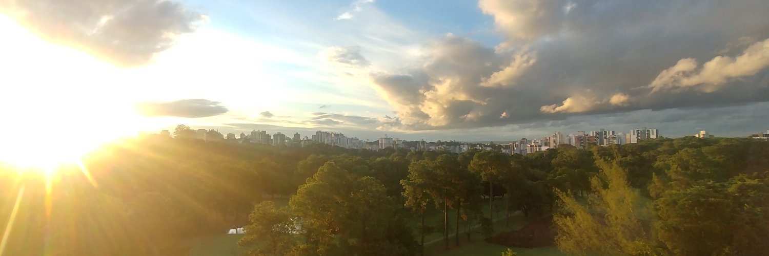 Tarouco's profile banner image