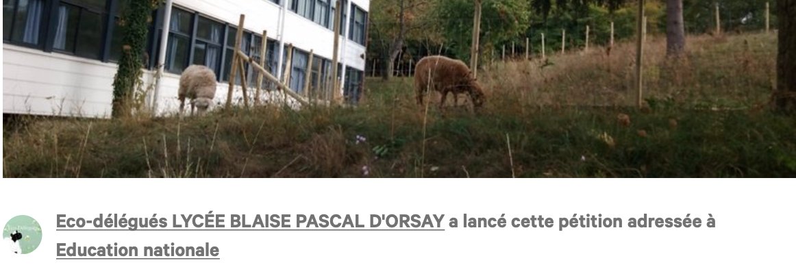 GIPEF_Orsay's profile banner image