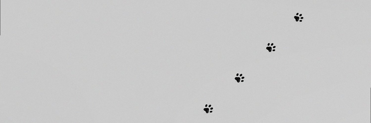novavic_'s profile banner image