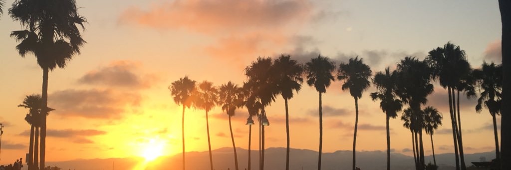 alligross4's profile banner image