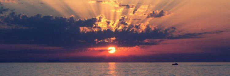 lylarose14's profile banner image