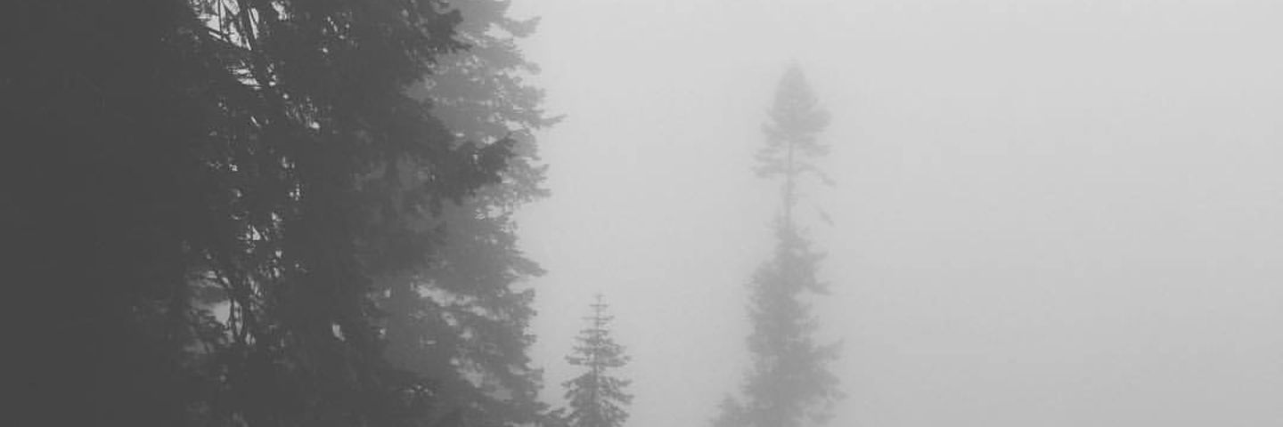 Pansyland's profile banner image