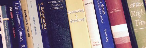 CyfieithuAmnis's profile banner image
