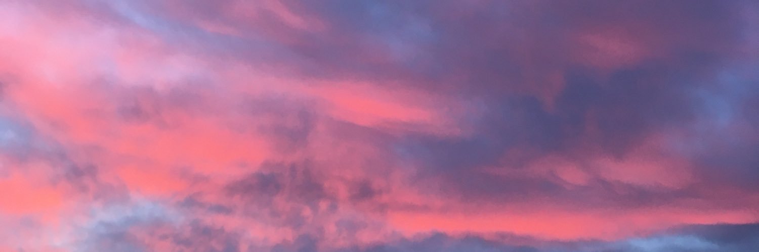 charis_sandison's profile banner image