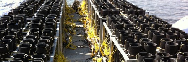 ShaunWHall Profile Banner