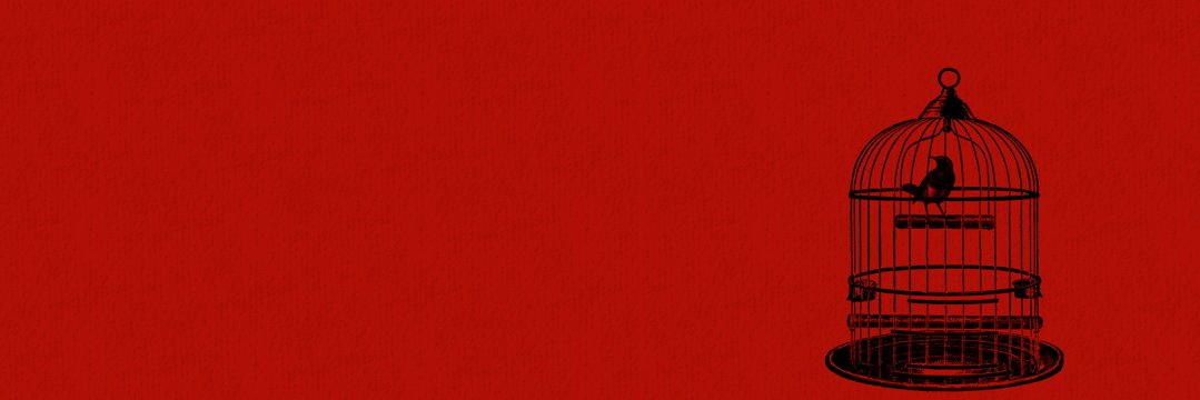 𝐓𝐇𝐄 𝐊𝐈𝐍𝐆 banner