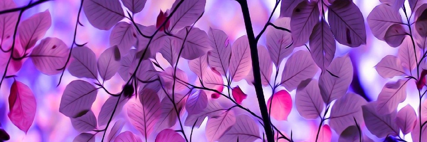 SheezaPatel's profile banner image