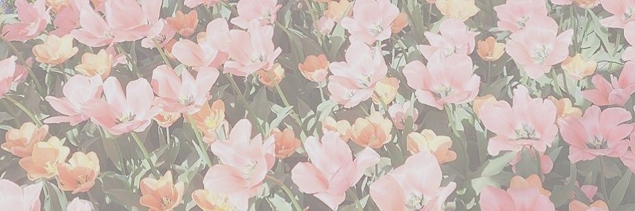 ank63y's profile banner image