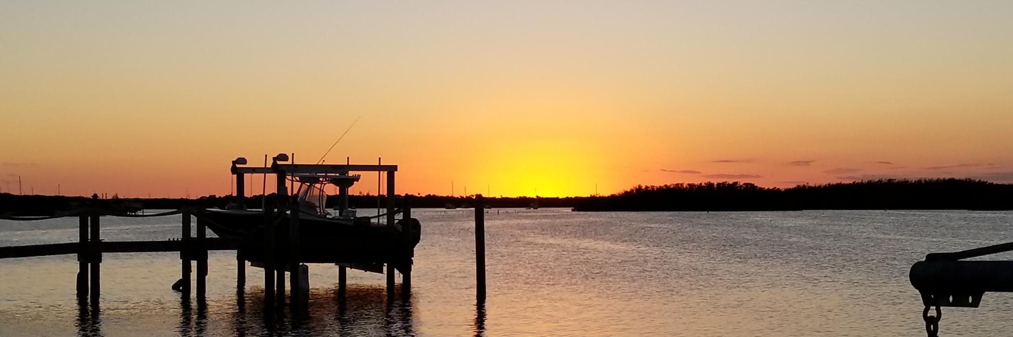 Denise Coleman banner