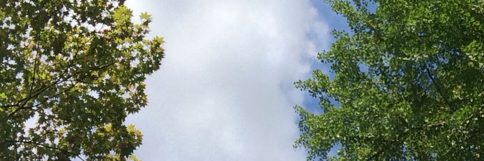 ppnswrtnd's profile banner image
