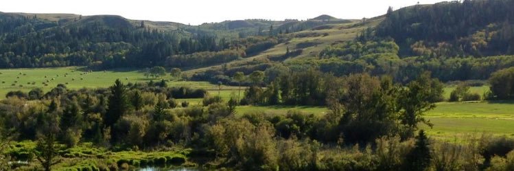 ax74ranch's profile banner image