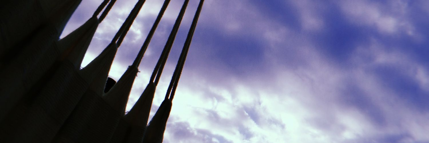 MtmPatricia's profile banner image